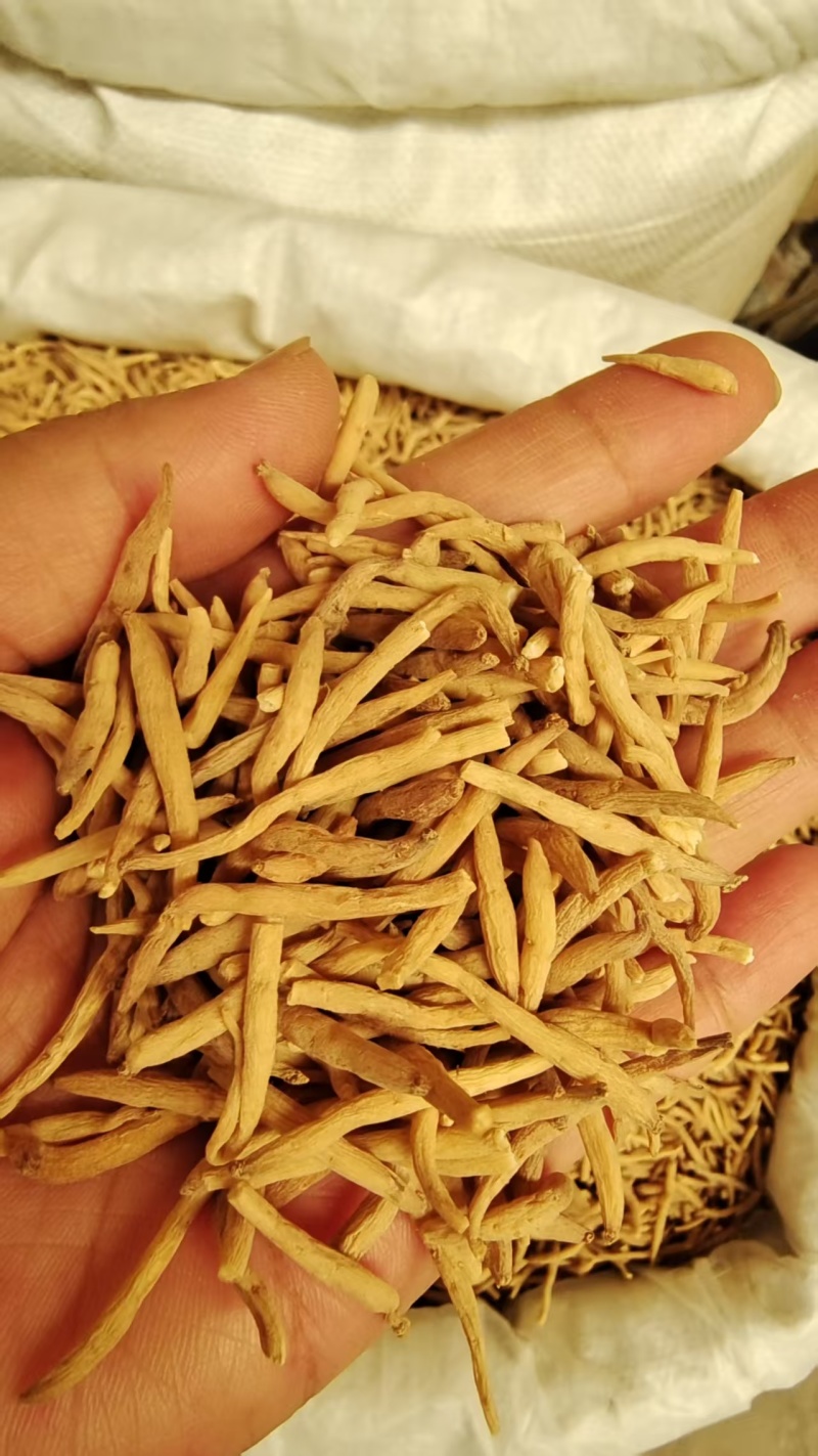 太子参选货各种规格2斤包邮量大优惠
