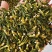 莲子芯各种规格2斤包邮量大优惠