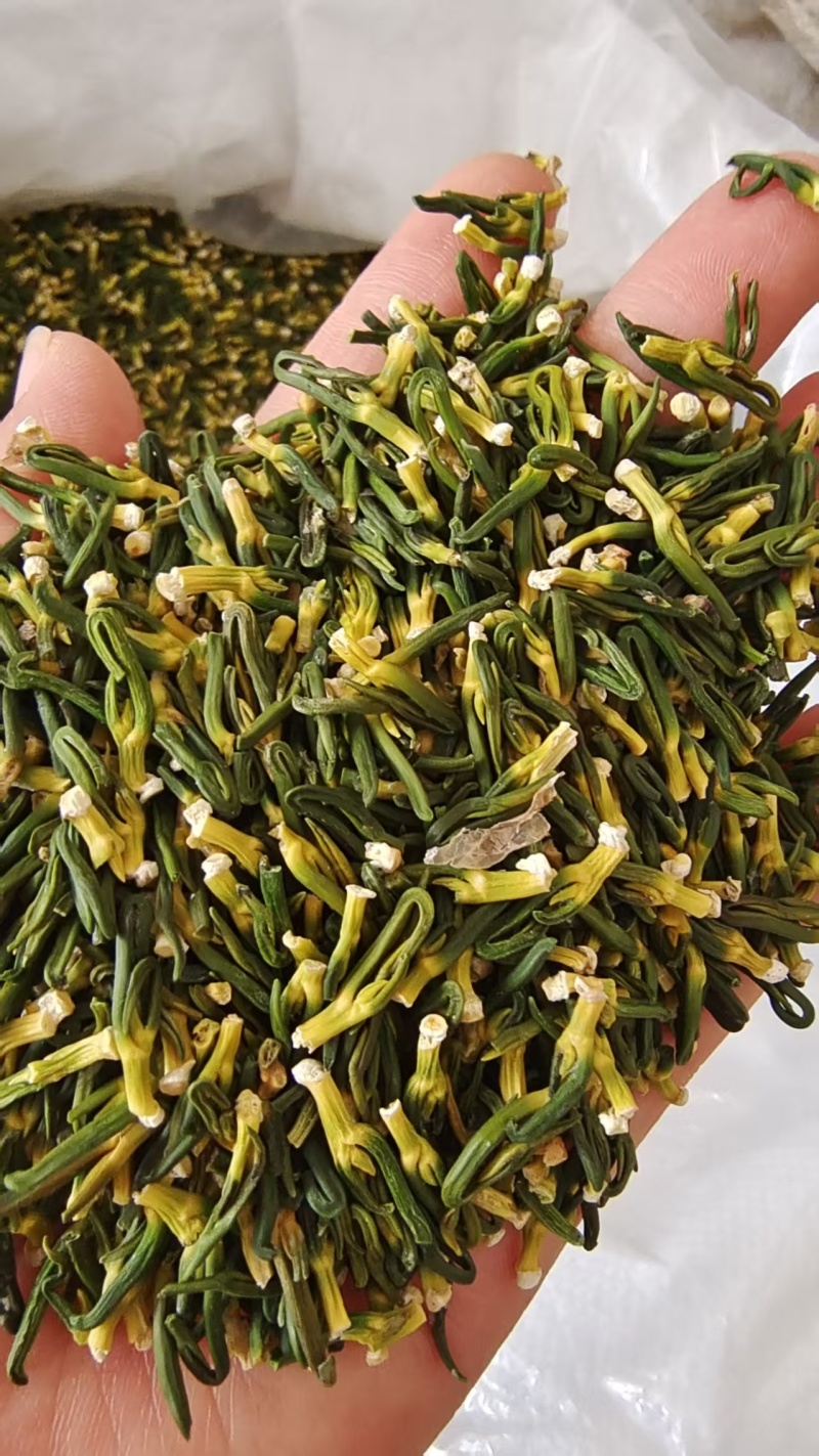 莲子芯各种规格2斤包邮量大优惠