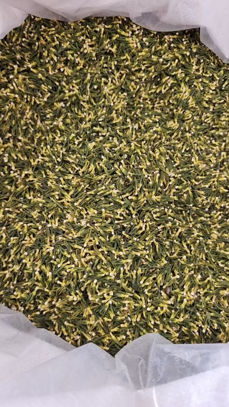 莲子芯各种规格2斤包邮量大优惠