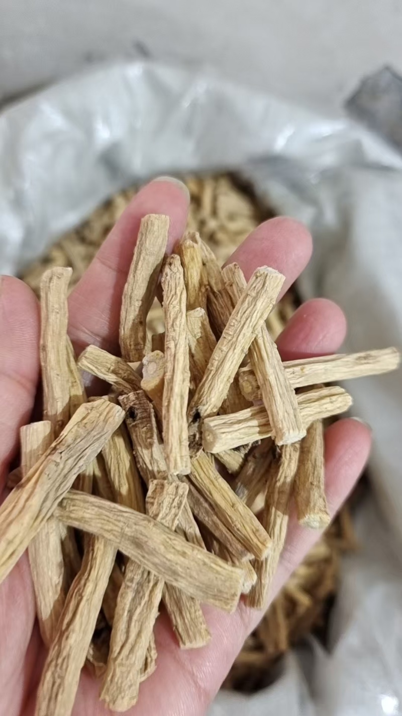 党参个子大段选货2斤包邮量大优惠