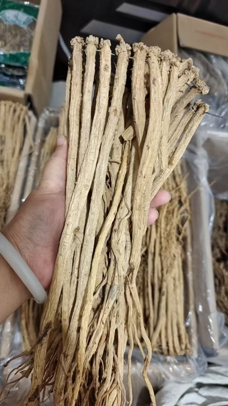 党参个子大段选货2斤包邮量大优惠