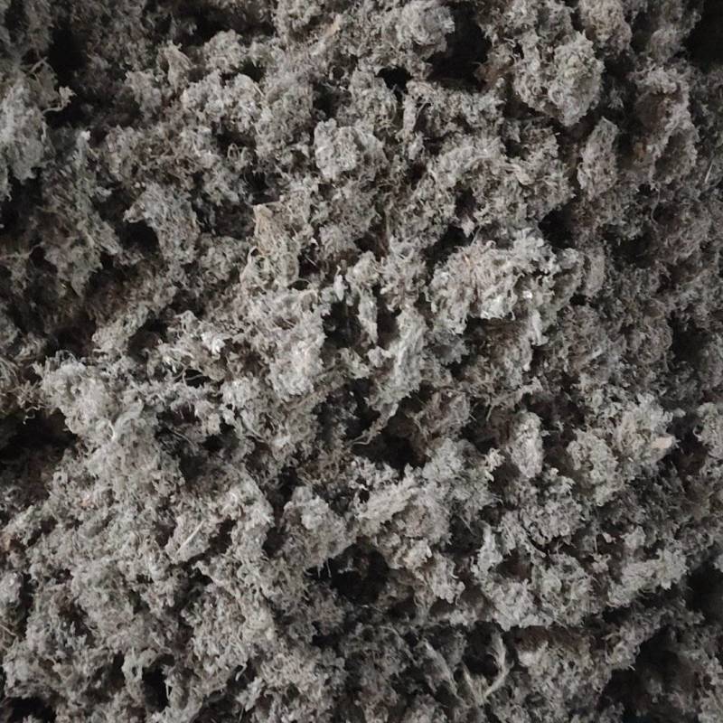 山东精品茵陈前期货