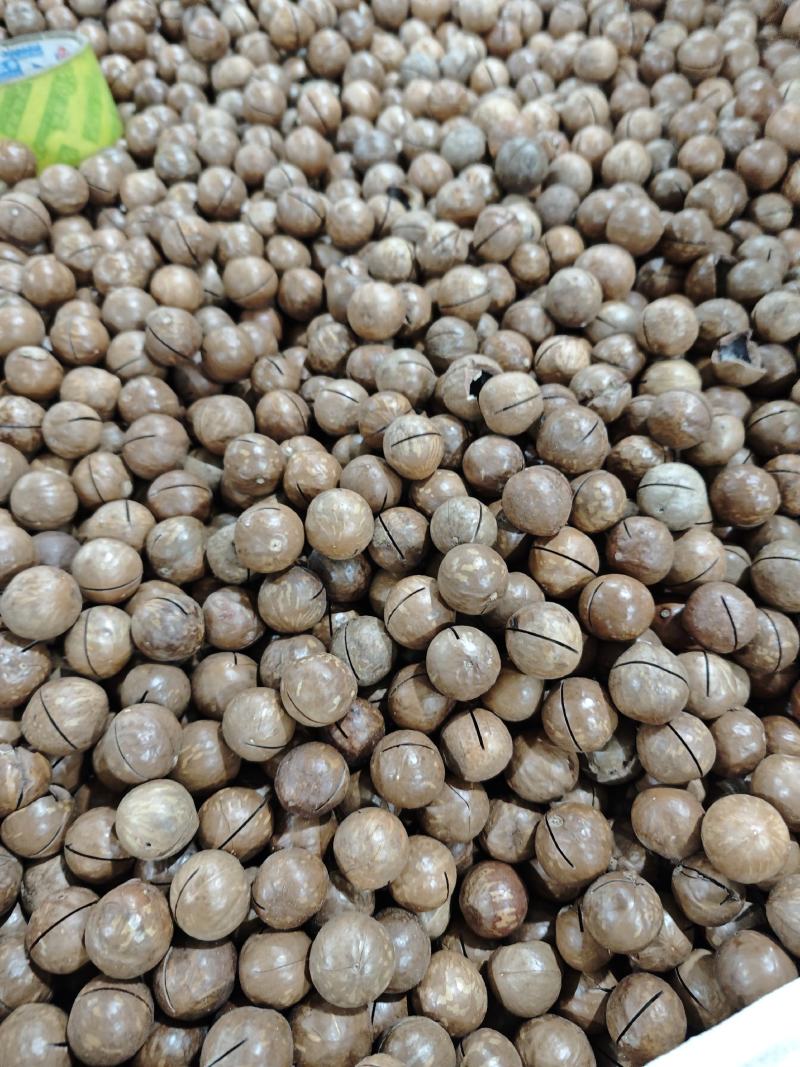 夏威夷果