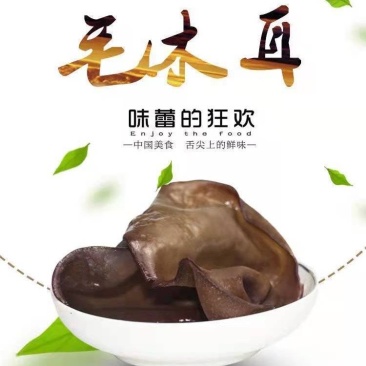 山东济宁毛木耳干木耳一手货源零售，全国发货，欢迎下单