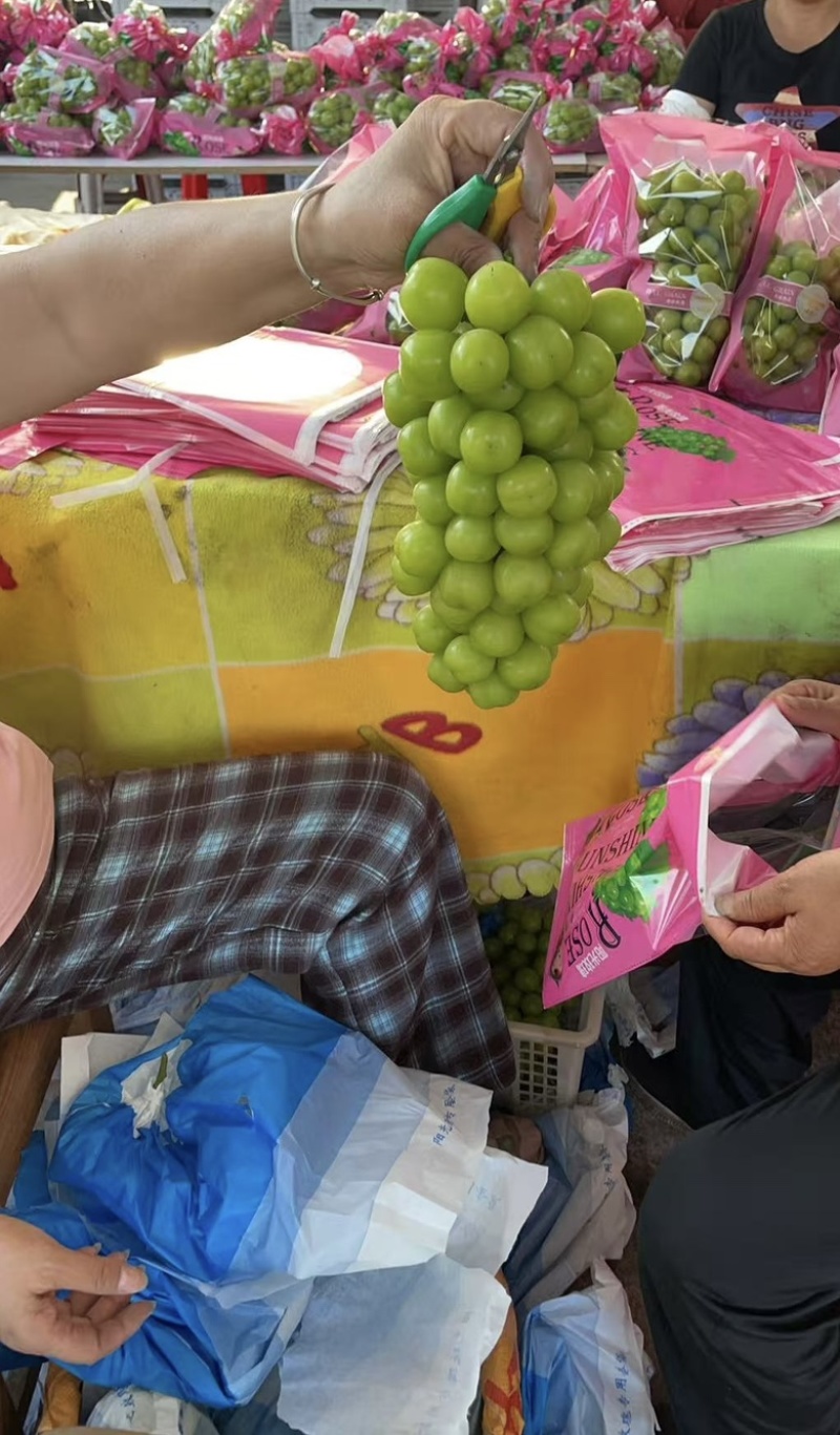 大串精品阳光玫瑰，产地直销