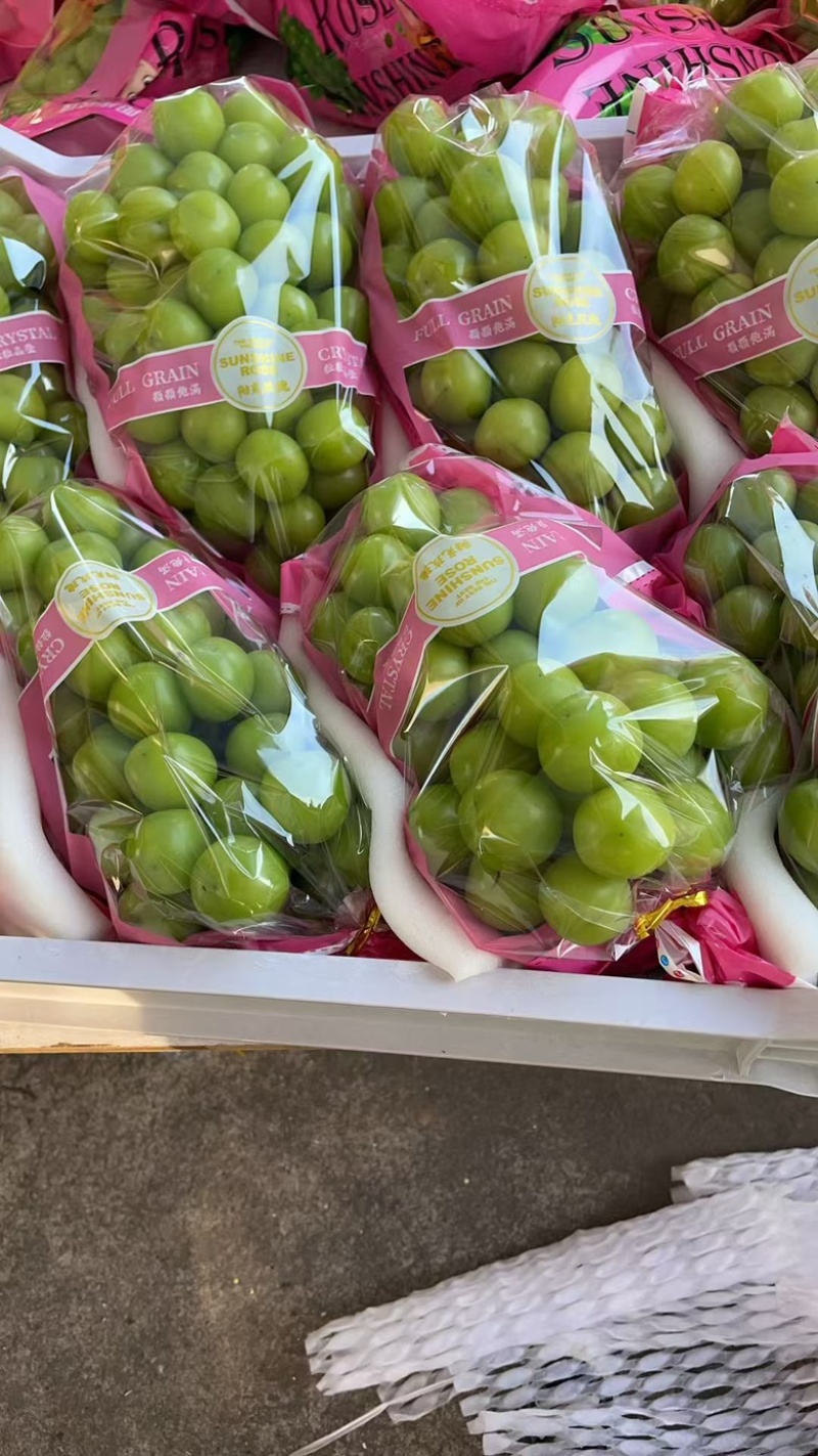 大串精品阳光玫瑰，产地直销