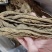 当归个子选货大条无硫量大优惠
