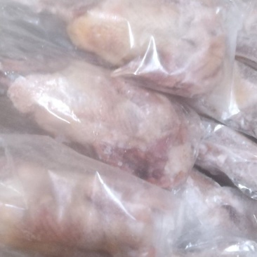 鸽子肉冻品乳鸽7两