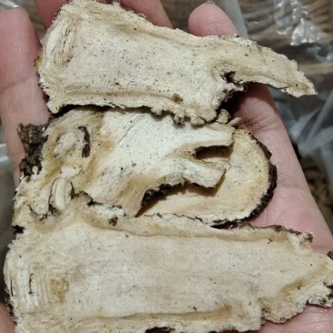 当归头选货煲汤药食同源2斤包邮量大优惠