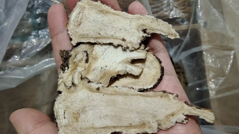 当归头选货煲汤药食同源2斤包邮量大优惠