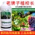 老牌子植校长40%烯酰吗啉杀菌剂葡萄霜霉病治疗保护作用