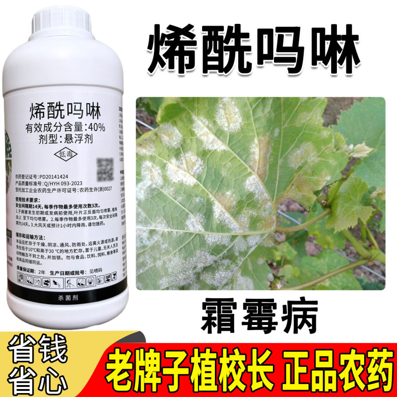 老牌子植校长40%烯酰吗啉杀菌剂葡萄霜霉病治疗保护作用