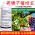 老牌子植校长40%烯酰吗啉杀菌剂葡萄霜霉病治疗保护作用