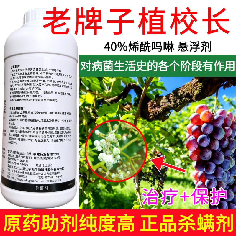 老牌子植校长40%烯酰吗啉杀菌剂葡萄霜霉病治疗保护作用