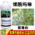 老牌子植校长40%烯酰吗啉杀菌剂葡萄霜霉病治疗保护作用