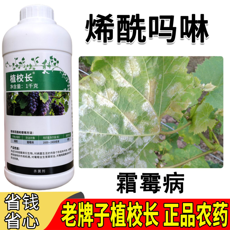 老牌子植校长40%烯酰吗啉杀菌剂葡萄霜霉病治疗保护作用