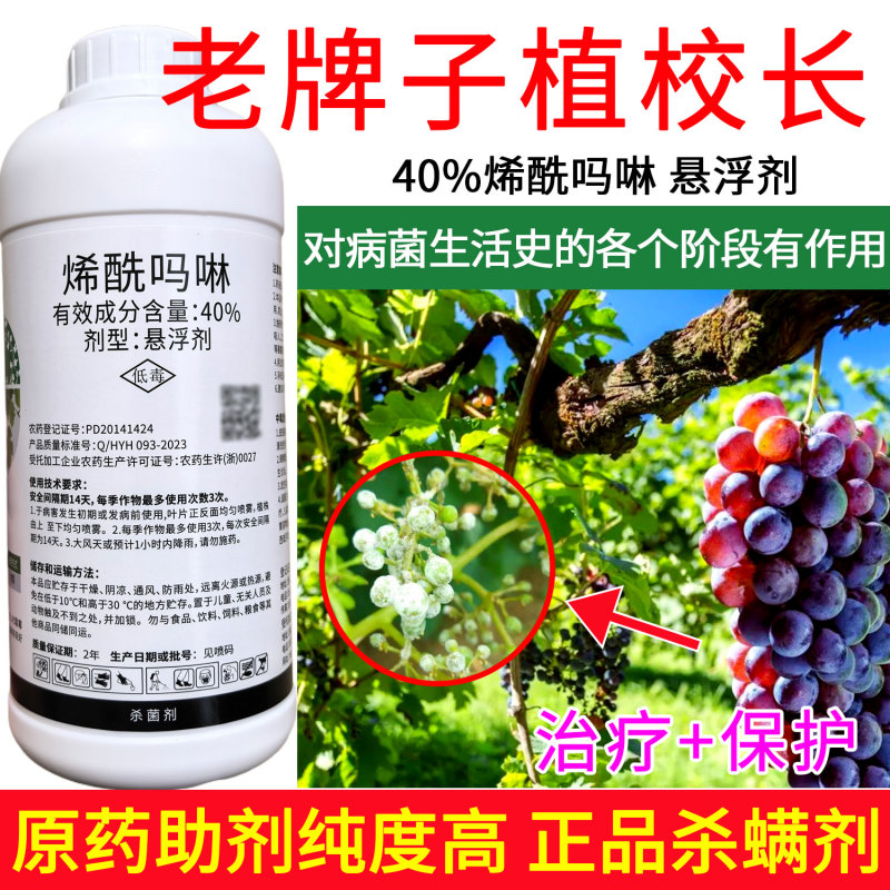 老牌子植校长40%烯酰吗啉杀菌剂葡萄霜霉病治疗保护作用