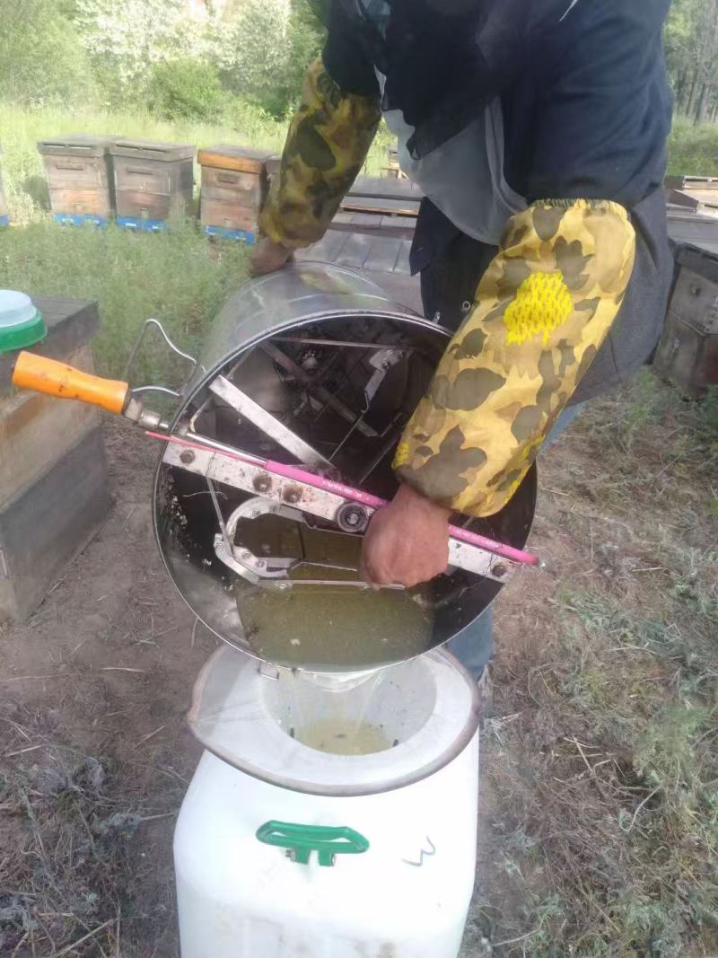 槐花蜜大量上市，产地直发，品质保证，服务周到，诚信经营