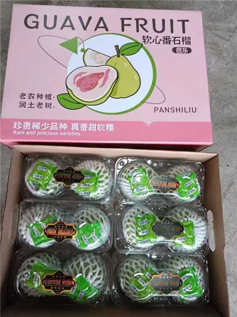 精选广东大量红心白心番石榴芭乐新鲜上市产地直发选购