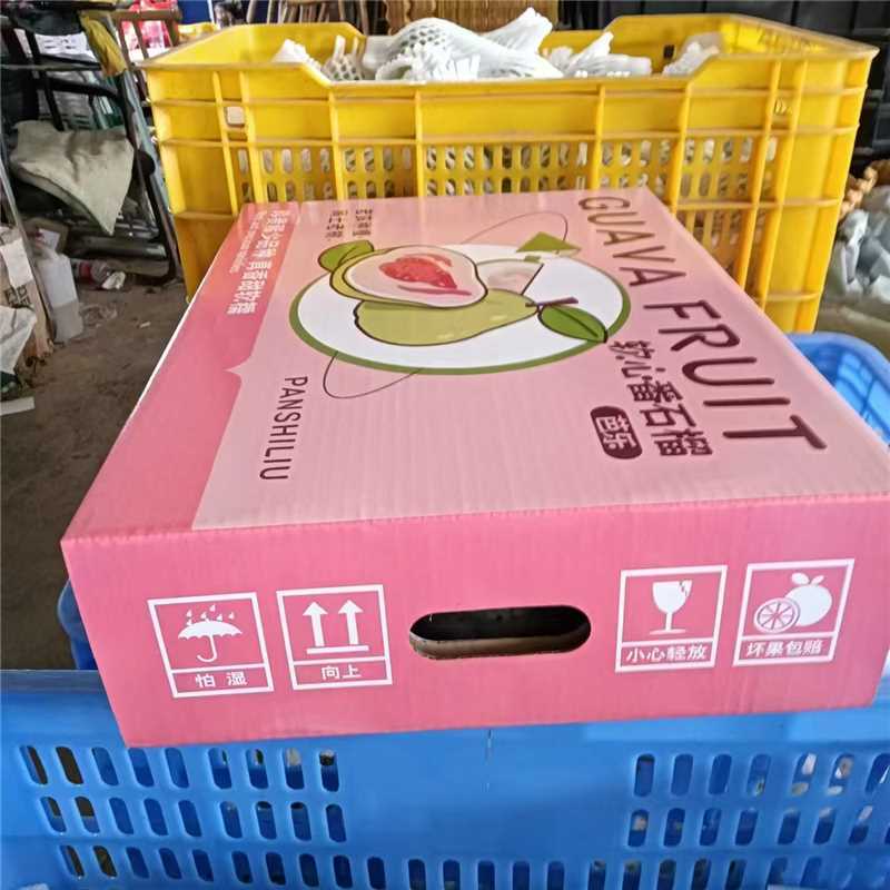 精选广东大量红心白心番石榴芭乐新鲜上市产地直发选购