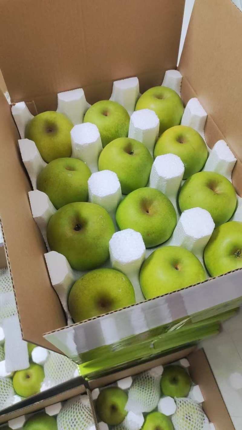 青皇冠梨砀山光果花皮翠冠梨承接商超电商供货代发全国