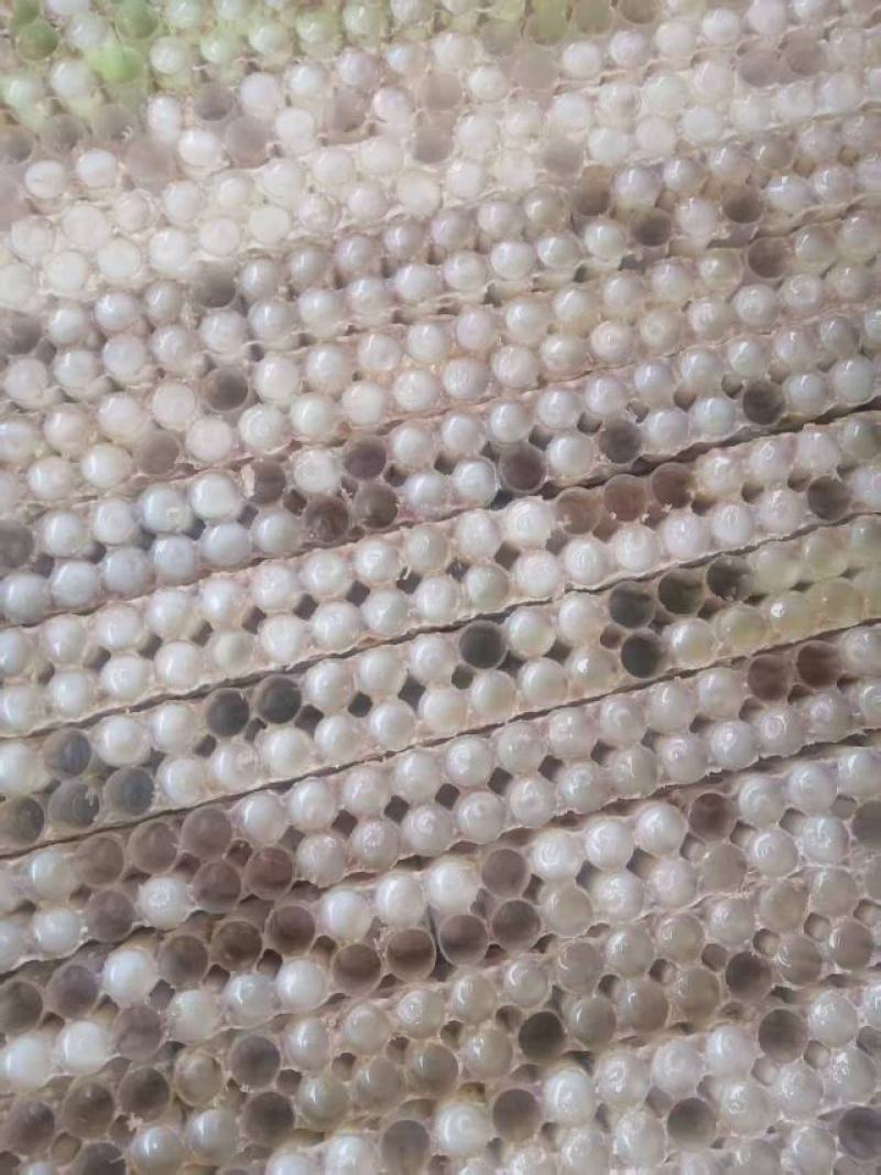 蜂皇浆大量上市，产地直发，品质保证，服务周到，诚信经营
