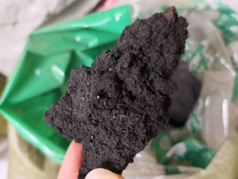 泽漆2斤包邮量大优惠