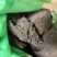 泽漆2斤包邮量大优惠
