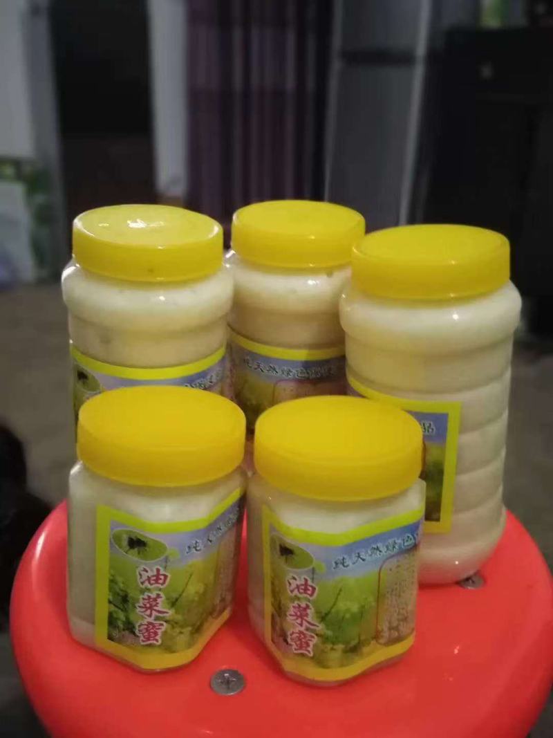 油菜花蜜大量上市，产地直发，品质保证，服务周到，诚信经营