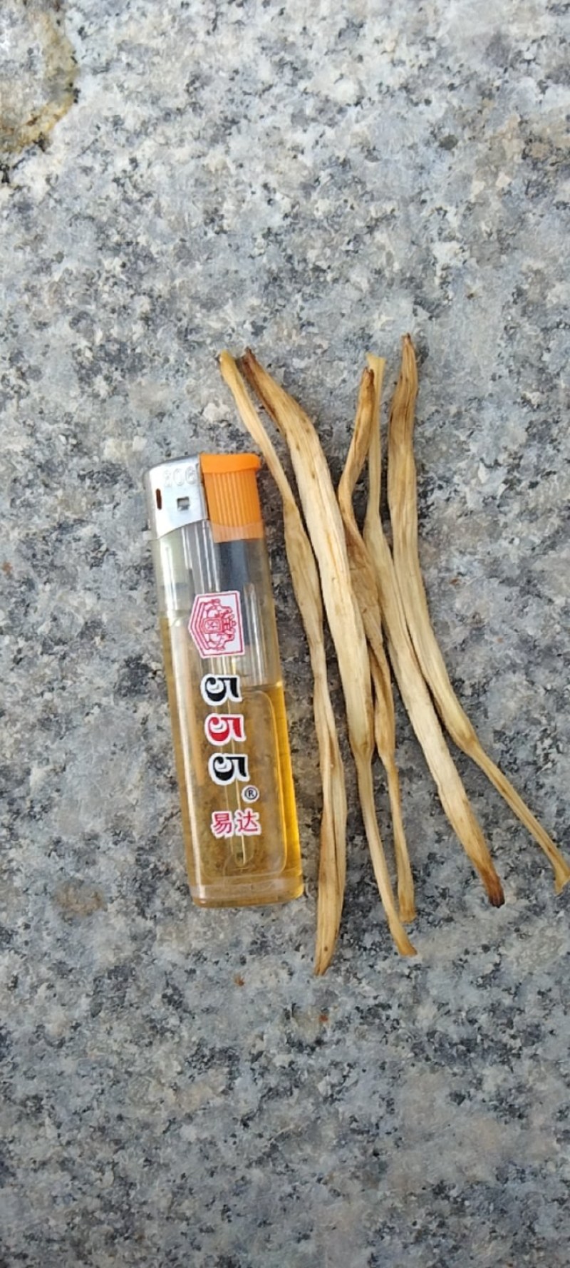 干黄花菜