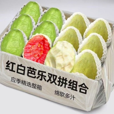 各电商平台一件代发红心芭乐、白心芭乐、番石榴、奶香芭乐