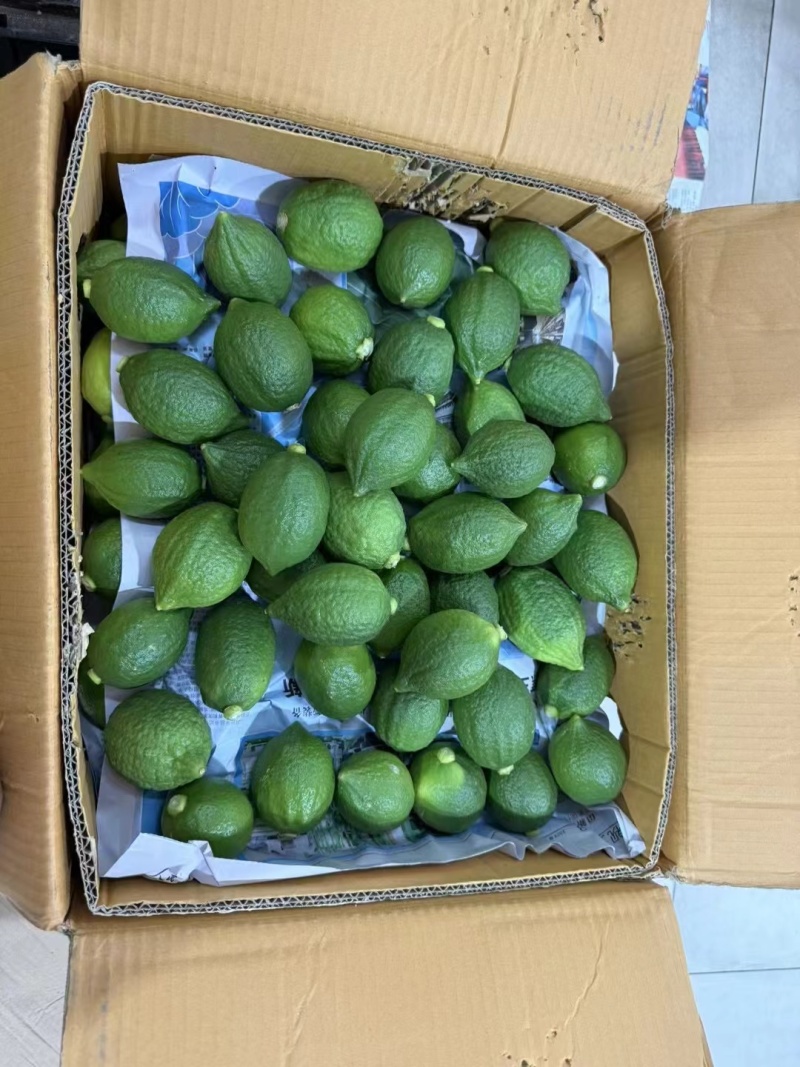广东香水柠檬，对接各种商超，全网一件代发，