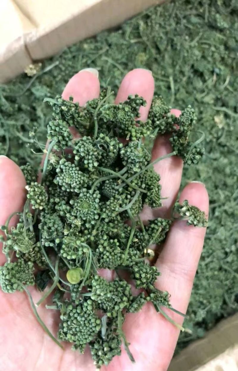 人参花泡茶长白山药食同源2斤包邮量大优惠