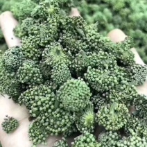 三七花颜色好泡茶中药材2斤包邮量大优惠