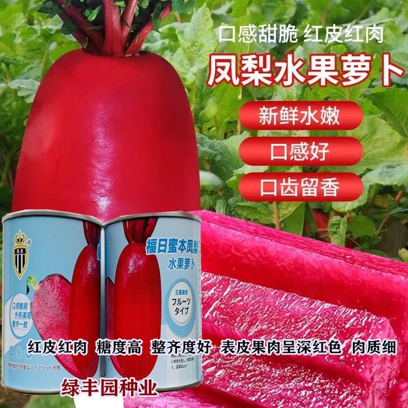 福日蜜本凤梨水果萝卜种子火龙果萝卜种子