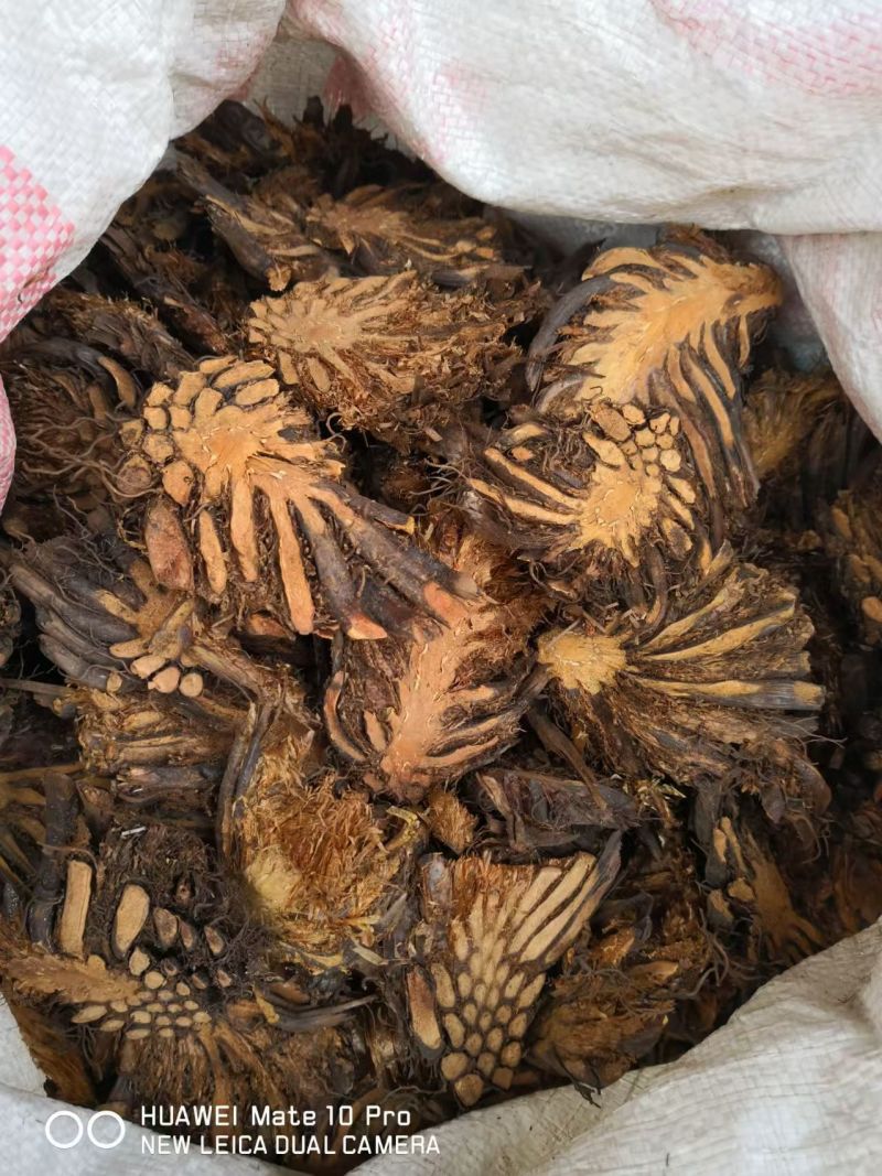 贯中选货绵马贯众各种规格2斤包邮量大优惠