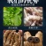 巴戟天中药材批发大货产地货源广东散装巴戟天量大