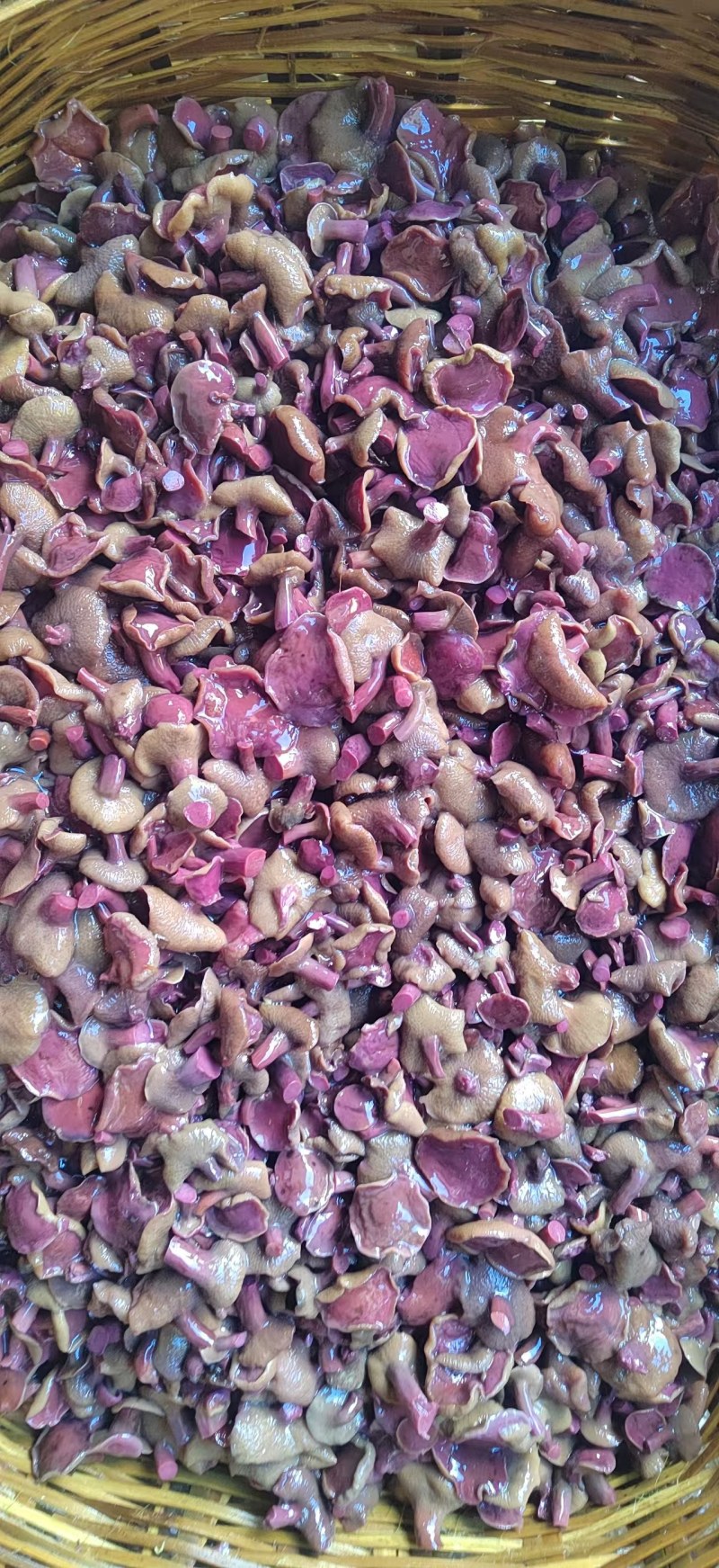 野生红乳牛肝菌批发源头菌农直供菌肉肥厚无虫蛀餐饮/冻货