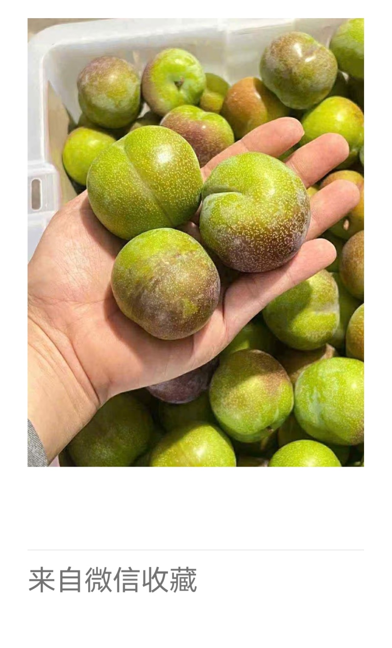 半边红五月脆李子