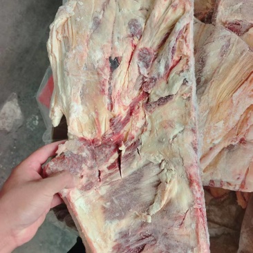 脐橙板到货，