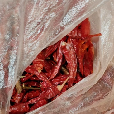 干辣椒，物美价廉，自己家的有几百斤，价格便宜，给钱就卖。
