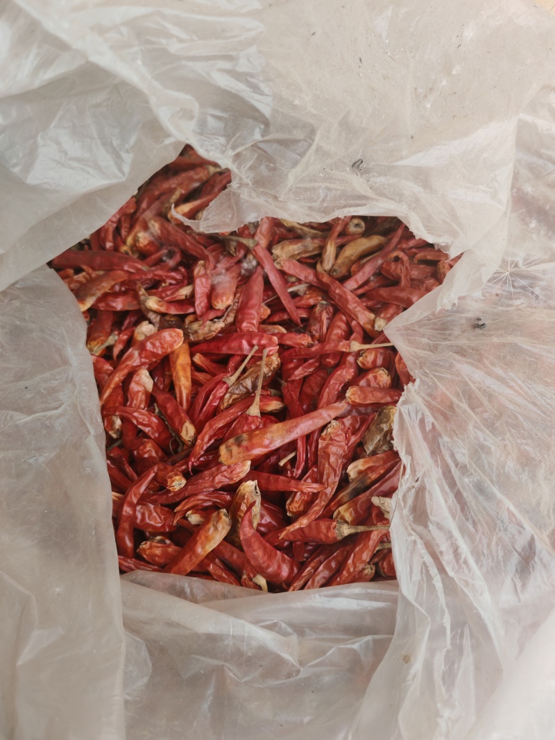 干辣椒，物美价廉，自己家的有几百斤，价格便宜，给钱就卖。