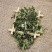 益母草***野生益母草切断今年新货色情刀口整齐干净大段