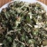 益母草***野生益母草切断今年新货色情刀口整齐干净大段