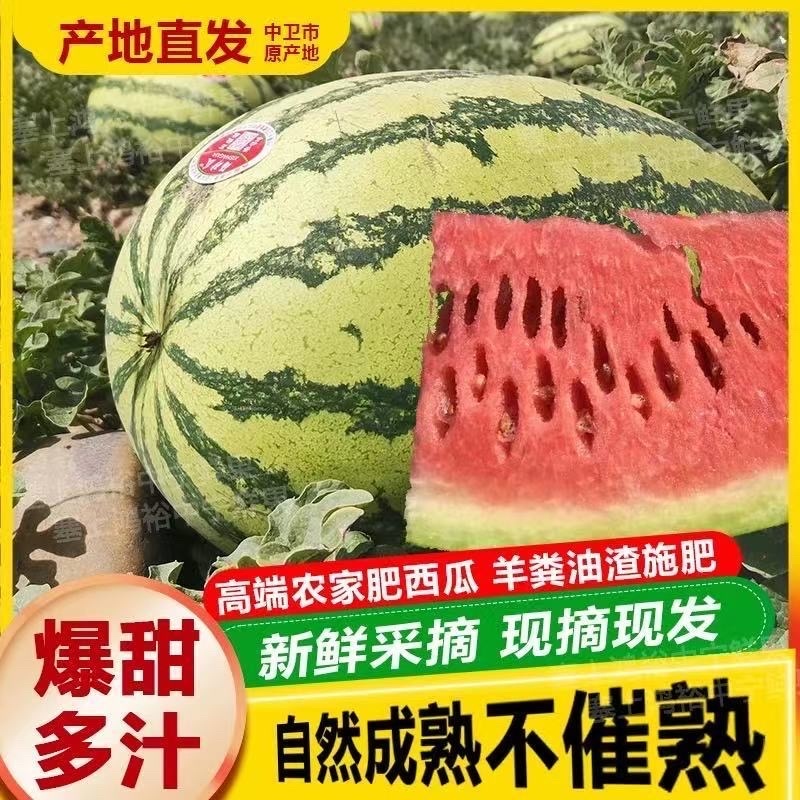 硒砂瓜，金城5号西瓜，金花1号西瓜，石头瓜