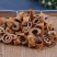桑白皮野生桑白皮丝***正宗无硫30年老根批发零售