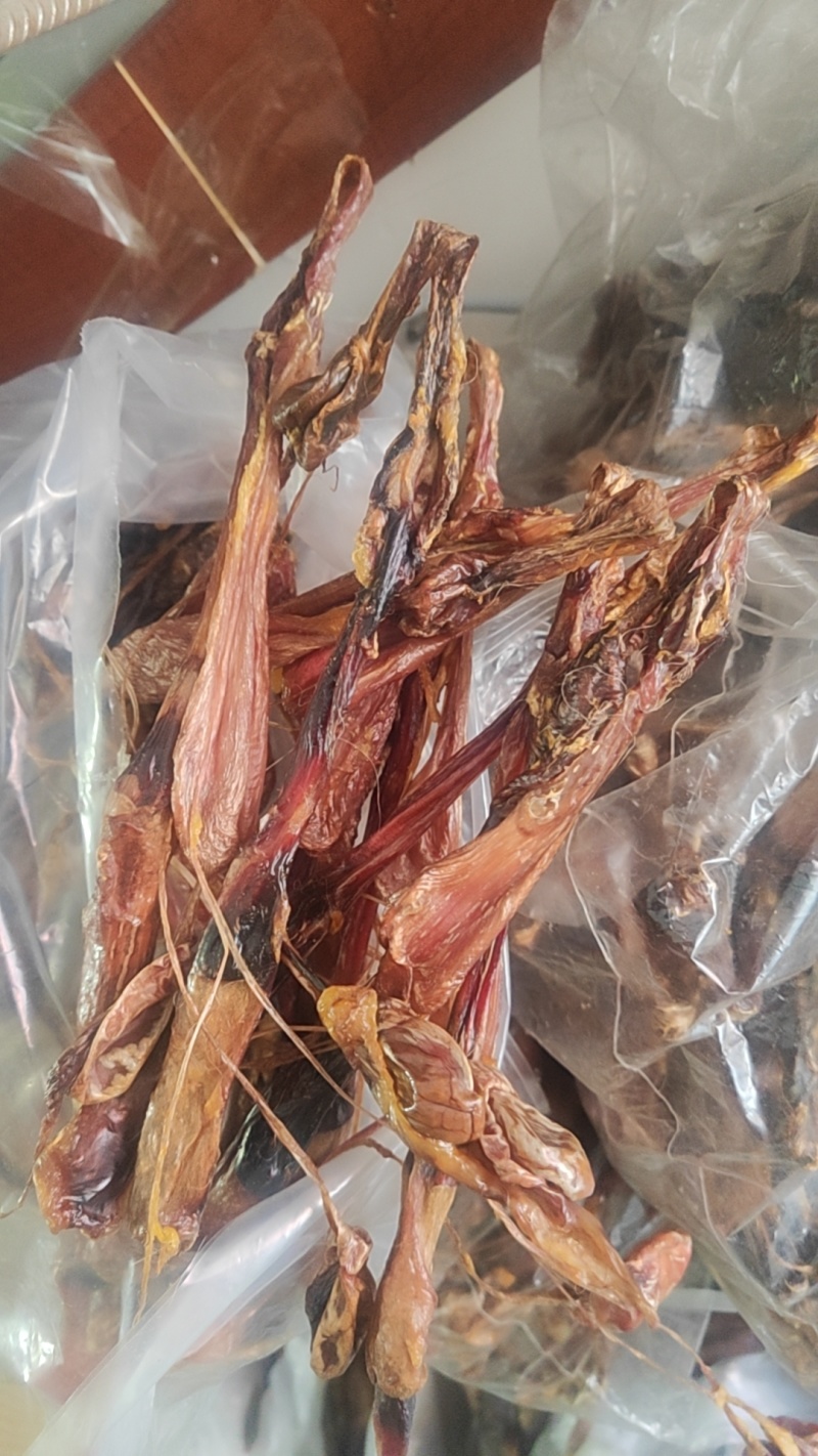 海狗肾干货海狗肾中药材！欢迎选购！