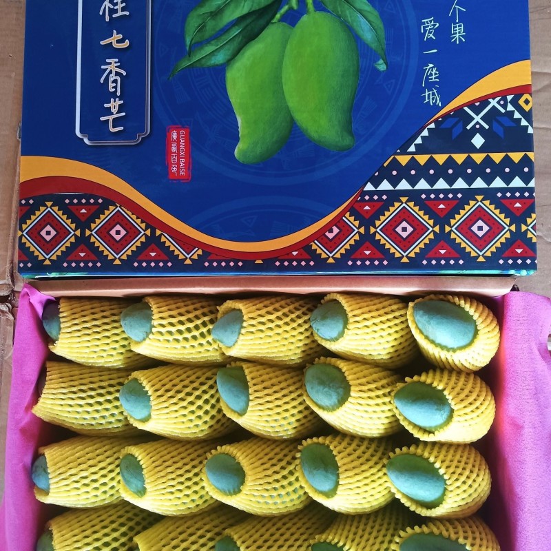 桂七芒上市了