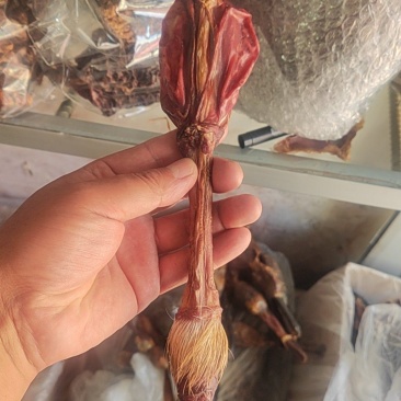 鹿鞭干货鹿鞭中药材！欢迎选购！